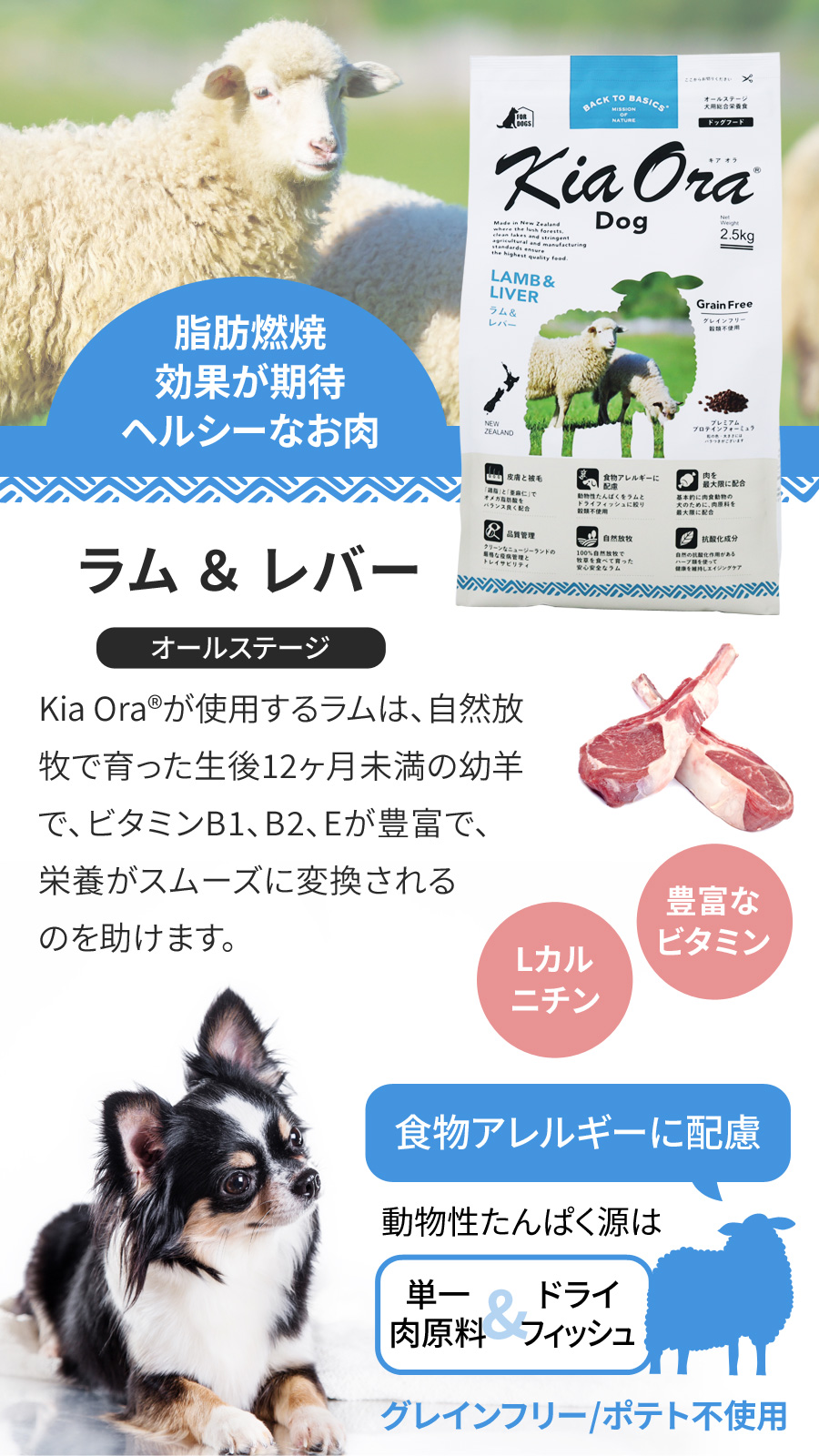 Kia Ora キアオラ ドッグフード ラム＆レバー 2.5kg＋お試し国産