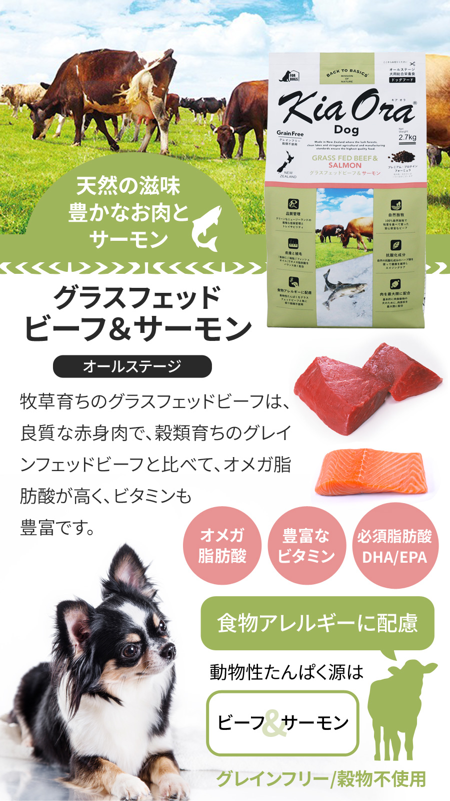 キアオラ　グラスフェッドビーフ＆サーモン　ドッグフード2.7kg R キアオラ ドッグ グラスフェッドビーフ&サーモン KAORKGS1-00