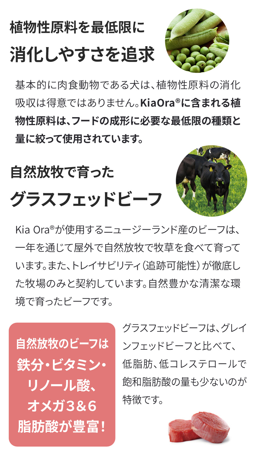 Kia Ora キアオラ ドッグフード グラスフェッドビーフ＆サーモン