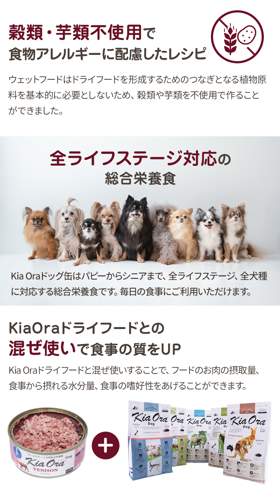 Kia Ora（キアオラ） ドッグ缶 ベニソン 80g ドッグフード 犬 ウェット