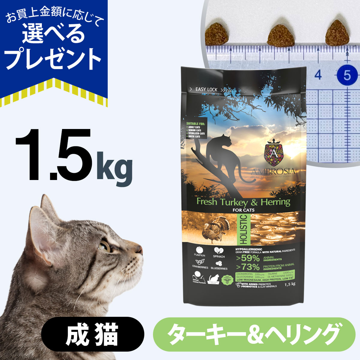 (選べるプレゼント付き)アンブロシア キャット ターキー＆ヘリング 1.5kg キャットフード ホリスティック グレインフリー ターキー 猫 低脂肪 インドア