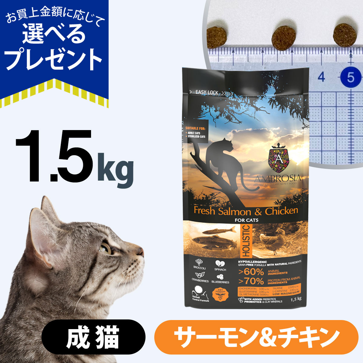 (選べるプレゼント付き)アンブロシア キャット サーモン＆チキン 1.5kg キャットフード ホリスティック グレインフリー 魚 猫 サーモン