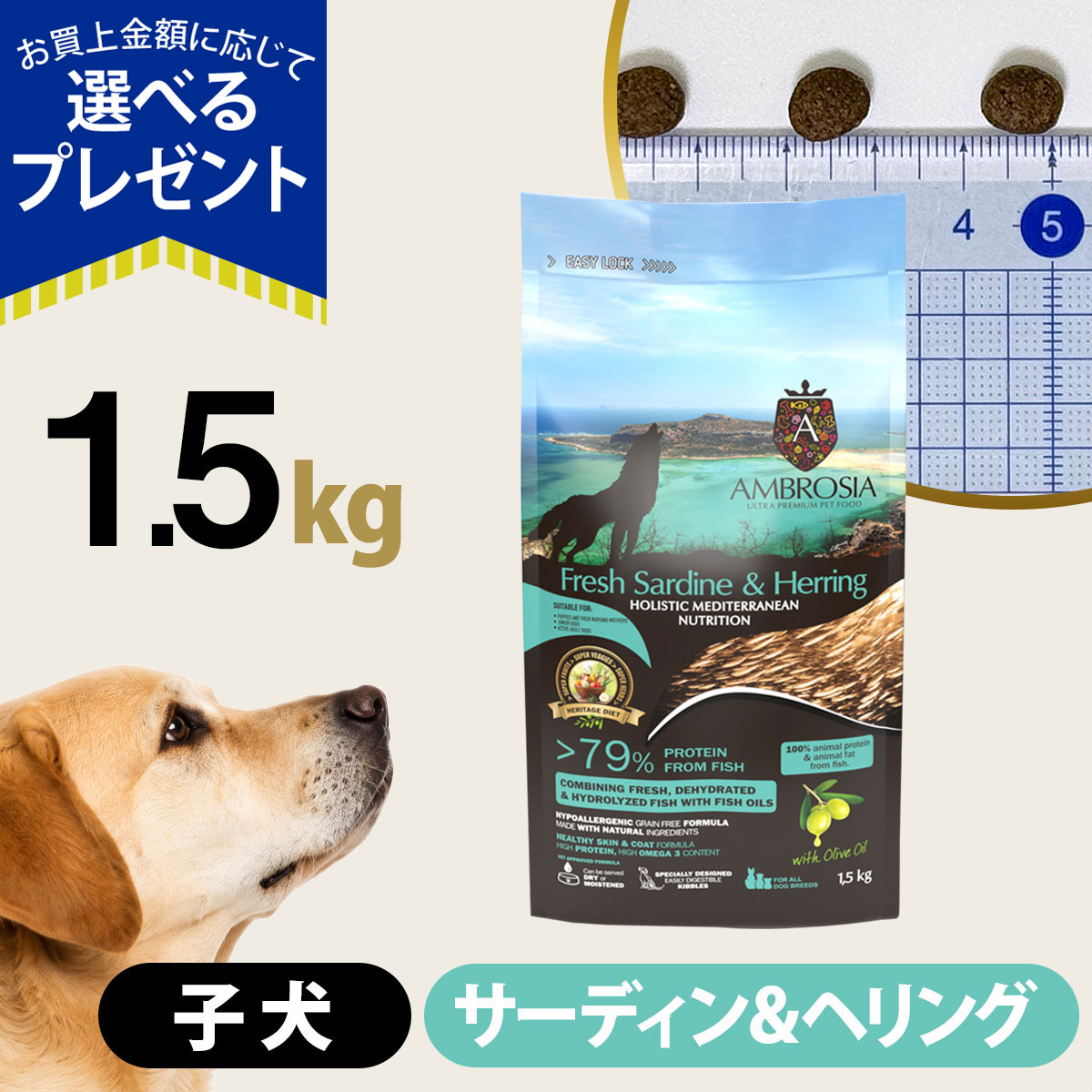 (選べるプレゼント付き)アンブロシア HMN サーディン＆ヘリング 1.5kg ドッグフード 犬 子犬 パピー ホリスティック シングルプロテイン グレインフリー