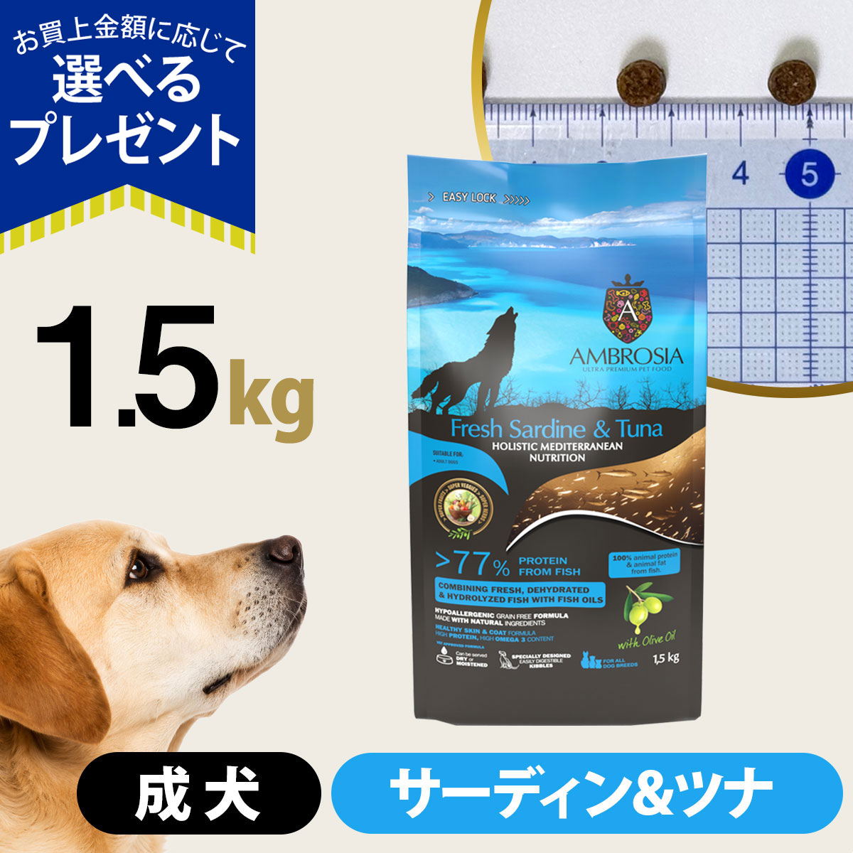 (選べるプレゼント付き)アンブロシア HMN サーディン＆ツナ 1.5kg ドッグフード 犬 成犬 ホリスティック シングルプロテイン グレインフリー