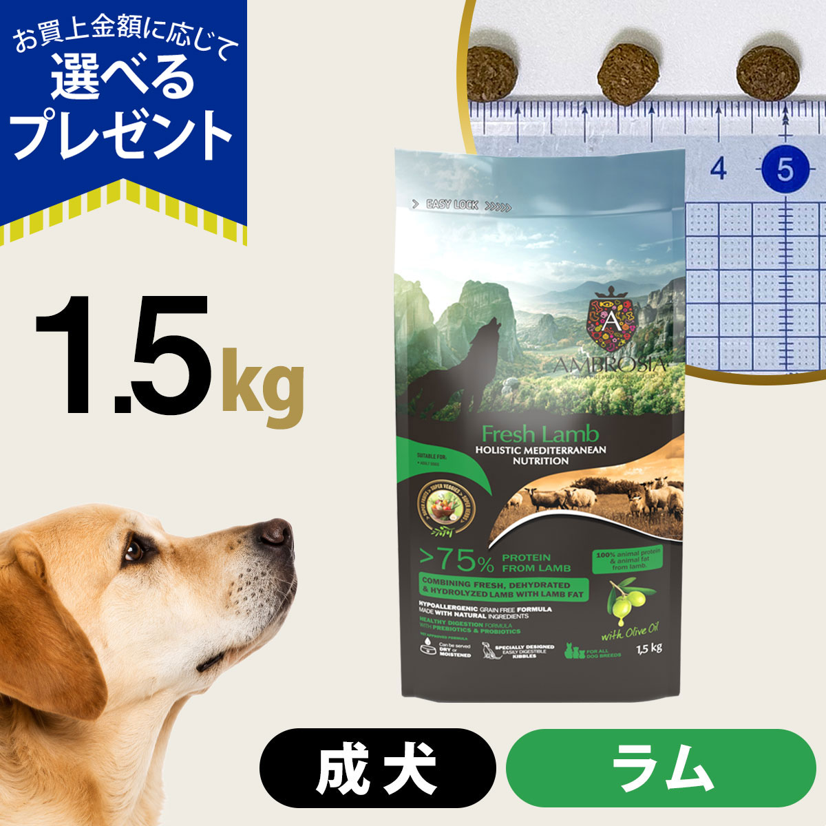 (選べるプレゼント付き)アンブロシア HMN ラム 1.5kg ドッグフード 犬 成犬 ホリスティック シングルプロテイン グレインフリー ラム プロバイオティクス