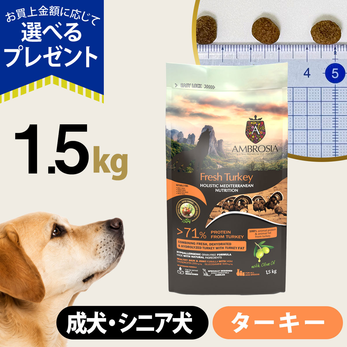 (選べるプレゼント付き)アンブロシア HMN ターキー 1.5kg ドッグフード 犬 グルコサミン コンドロイチン 成犬 シニア犬 グレインフリー 体重管理