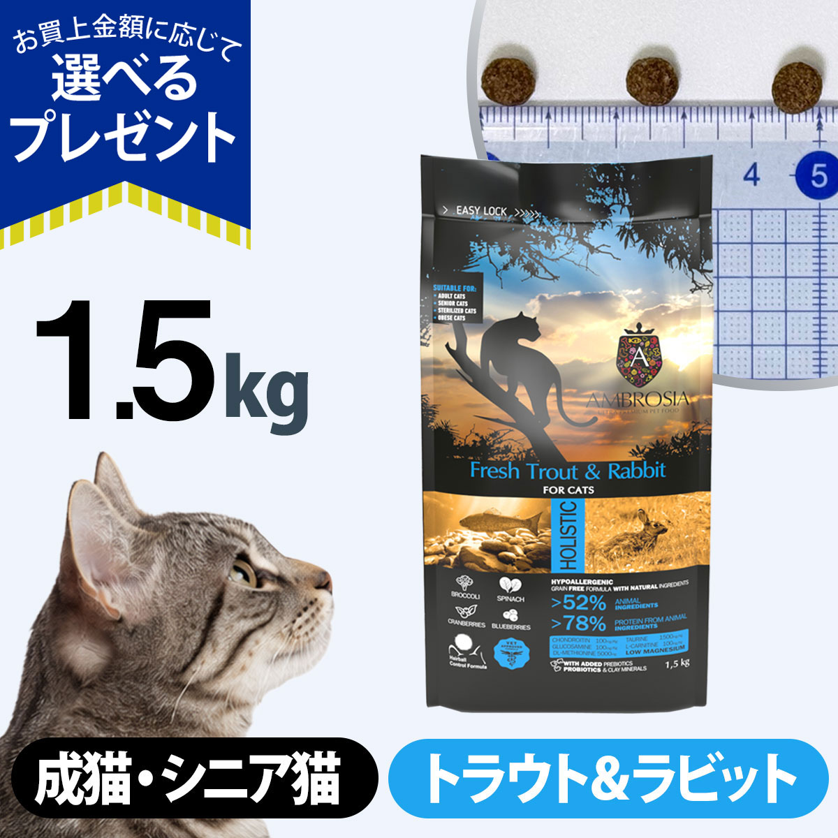 (選べるプレゼント付き)アンブロシア キャット トラウト＆ラビット 1.5kg キャットフード 成猫 高齢猫 ホリスティック グレインフリー 魚 猫