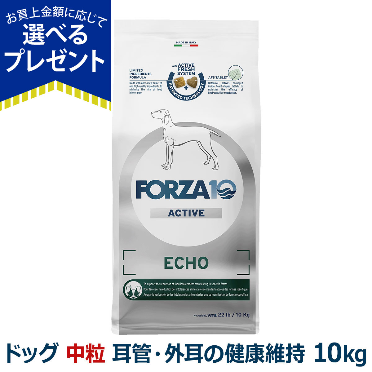 FORZA10（フォルツァディエチ） (選べるプレゼント付き)フォルツァ10