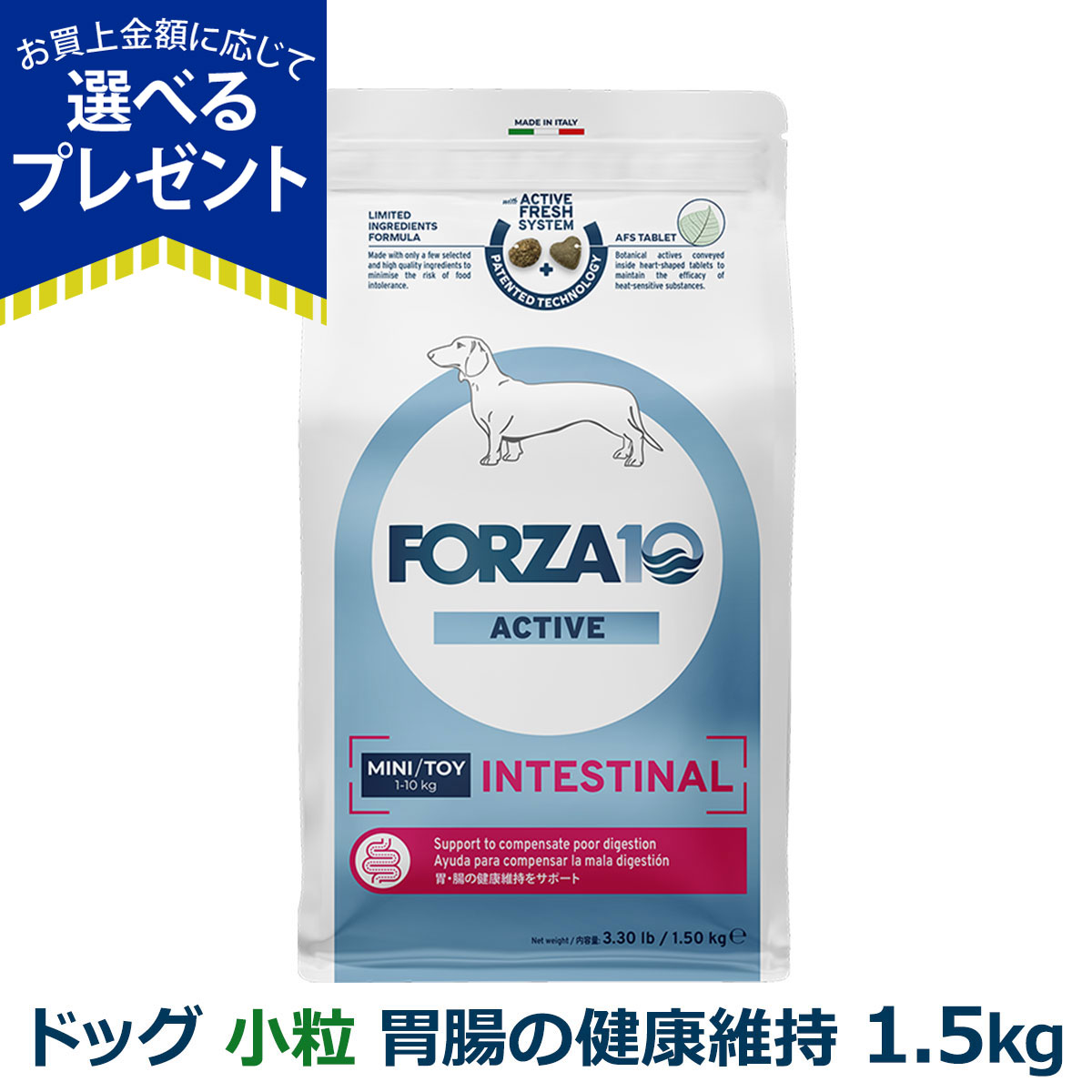 フォルツァ10 インテスティナルアクティブ」の人気商品一覧