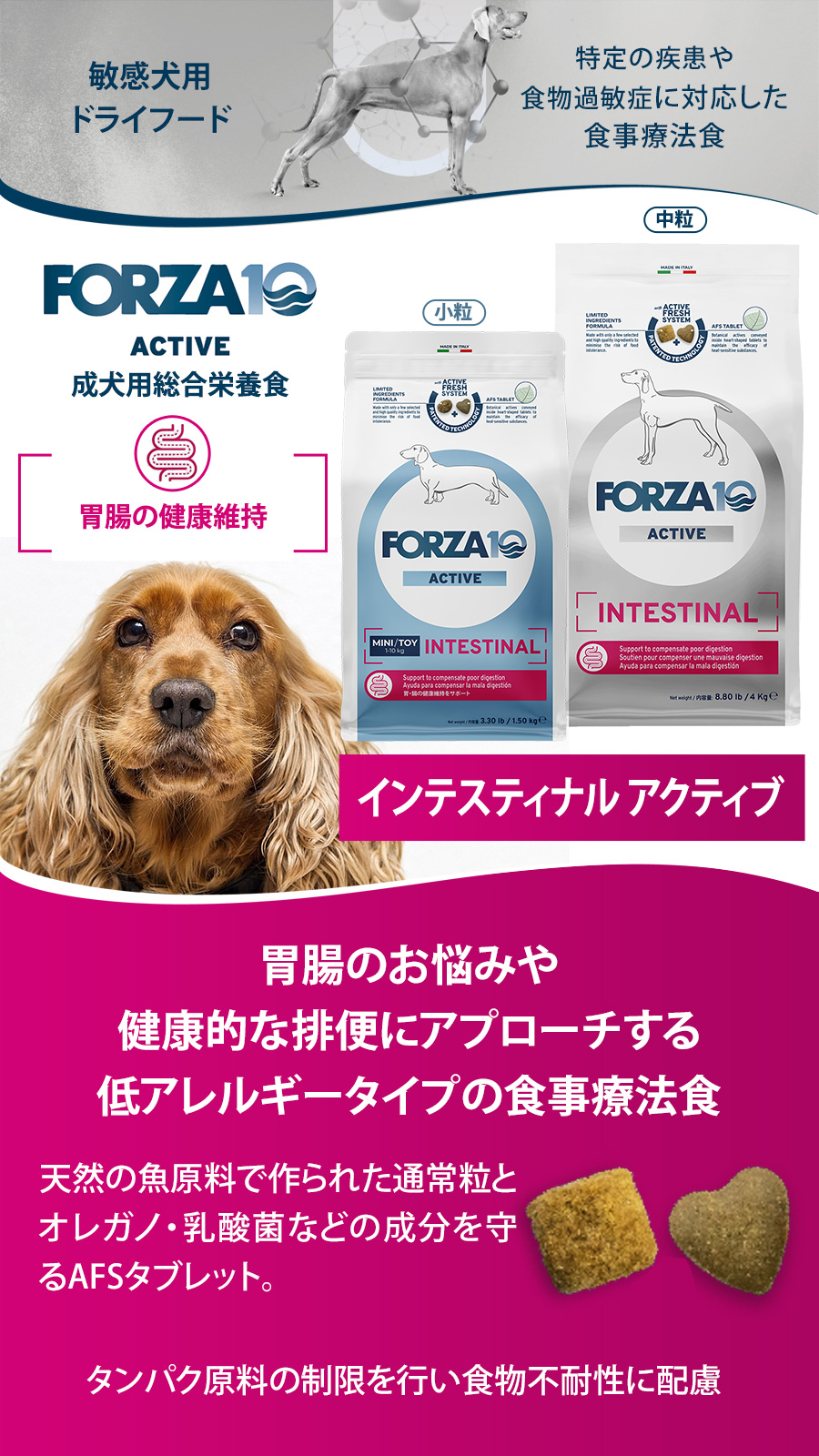 FORZA10（フォルツァディエチ） (選べるプレゼント付き)フォルツァ10