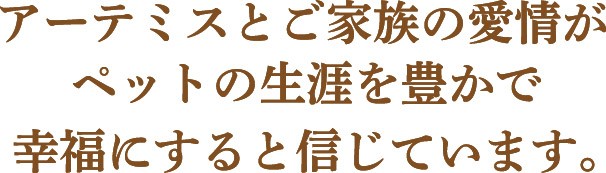 アーテミスとご家族の愛情がペットの生涯を豊かで幸福にすると信じています。