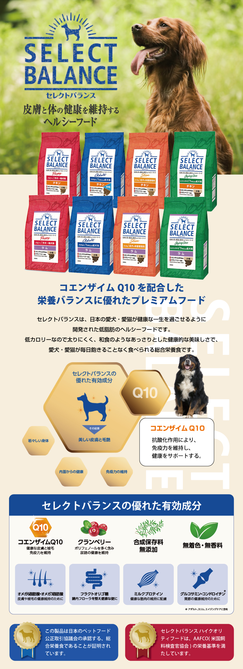 ドッグパラダイスぷらすニャン - セレクトバランス｜Yahoo!ショッピング