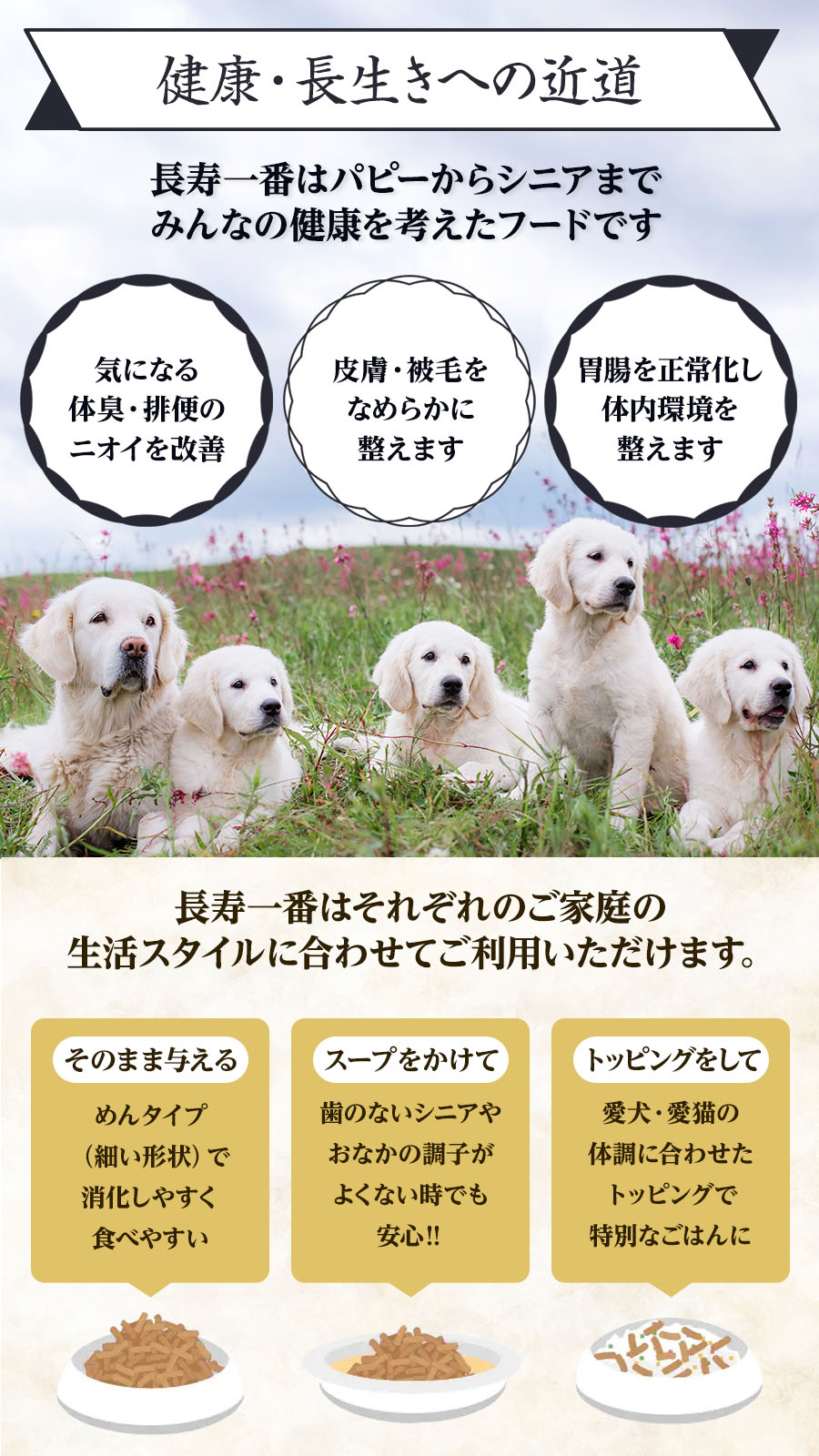 POODLE VARIETY  6冊セット 充実の品 POODLE 6冊セット VARIETY 洋書 - 洋書