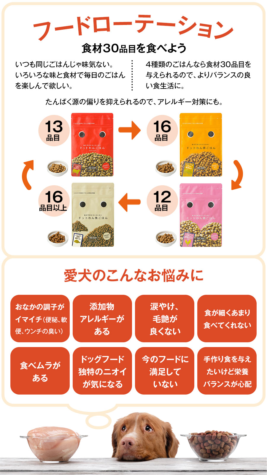 ドットわん (選べるプレゼント付き)ドットわんごはん Red mind お徳用