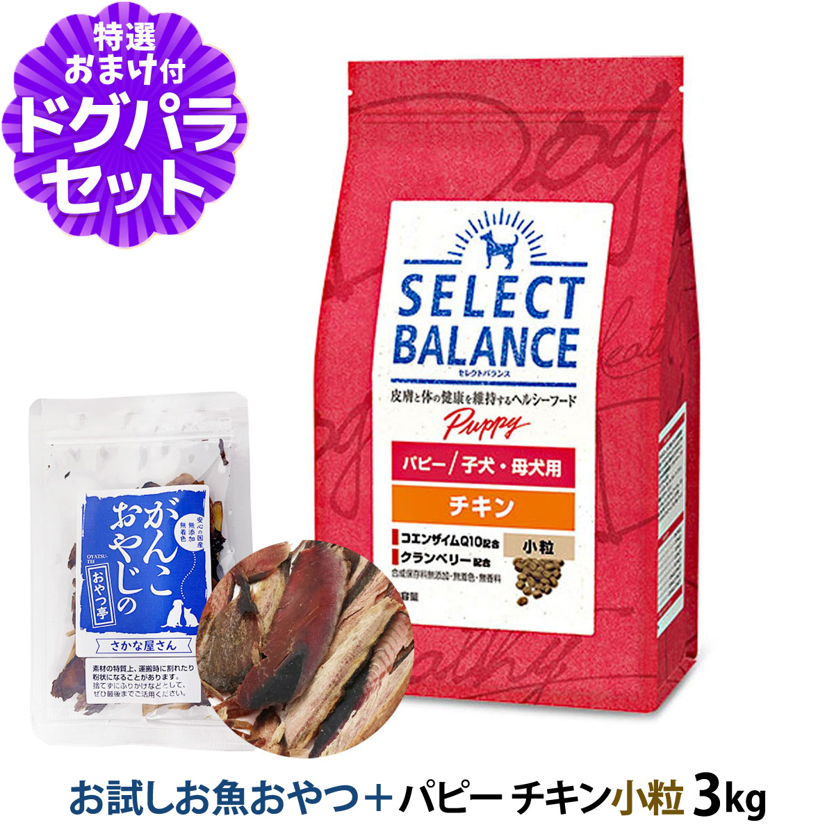 セレクトバランス パピー チキン 小粒 3kg ＋お試し国産お魚厚削り 15g 幼犬 チキン 鶏 コエンザイムQ10