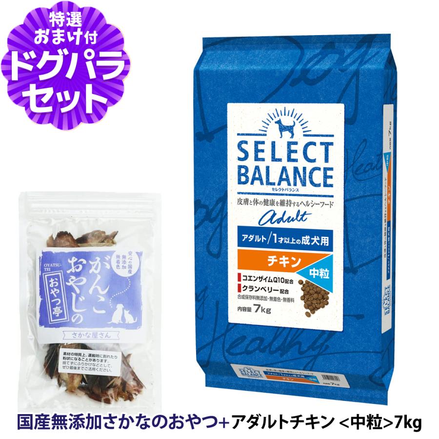 セレクトバランス アダルト チキン 中粒7kg ＋お試し国産お魚おやつ 約20g 犬 ドライ