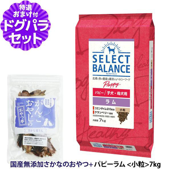 セレクトバランス パピー ラム 小粒 7kg ＋お試し国産お魚おやつ 約20g 幼犬 妊娠・授乳期の母犬 低脂肪