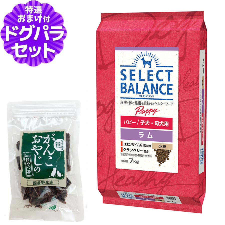 【順次、原材料等の表記変更】セレクトバランス パピー ラム 小粒7kg＋国産鹿肉ジャーキー25g｜dogparadise