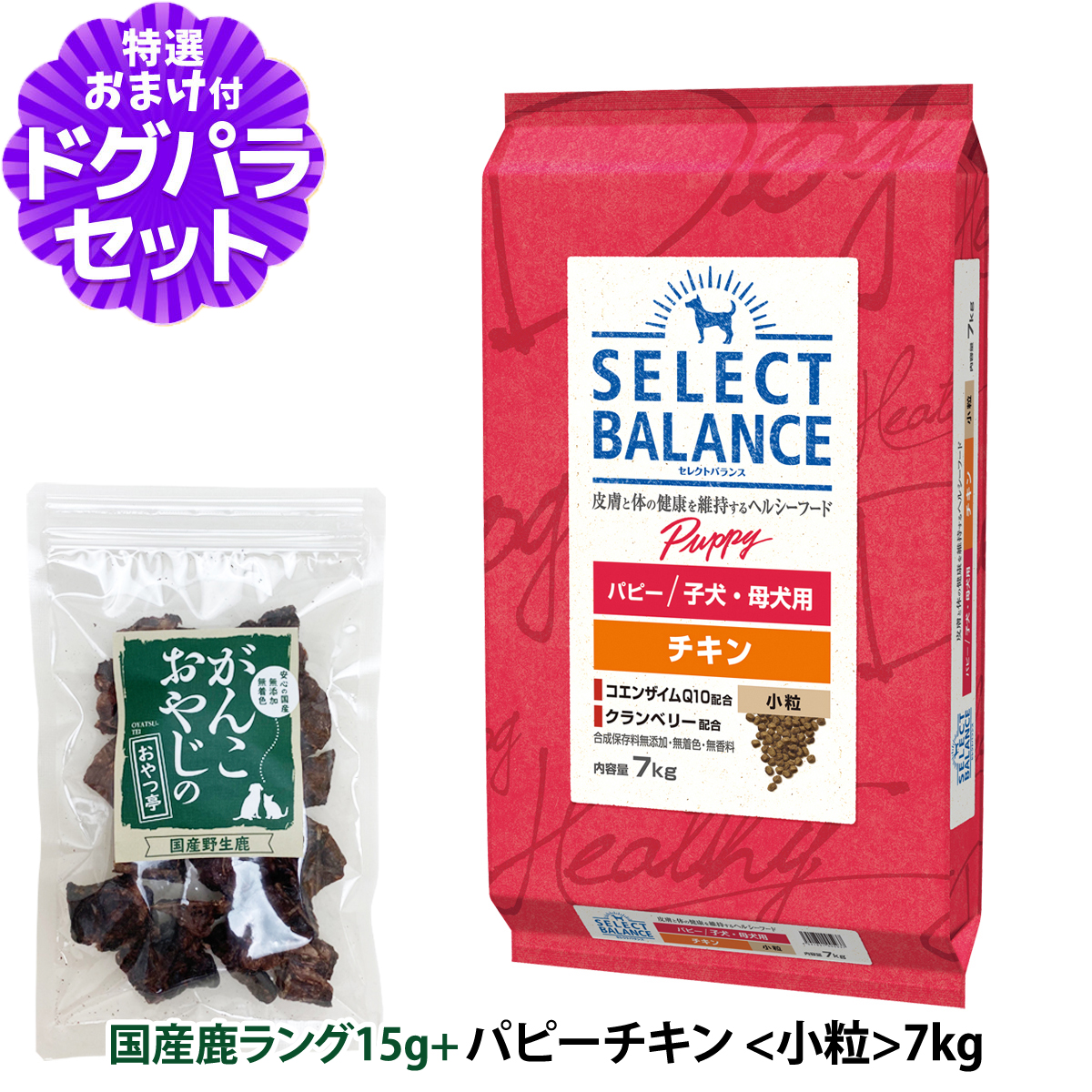 セレクトバランス パピー チキン 小粒7kg＋国産鹿ラング15g 犬 子犬 母犬