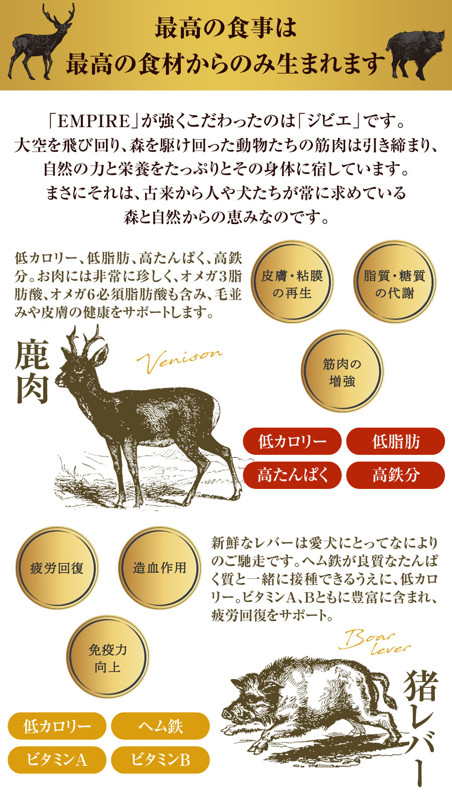 選べるプレゼント付き)エンパイア EMPIRE スペシャルバランス