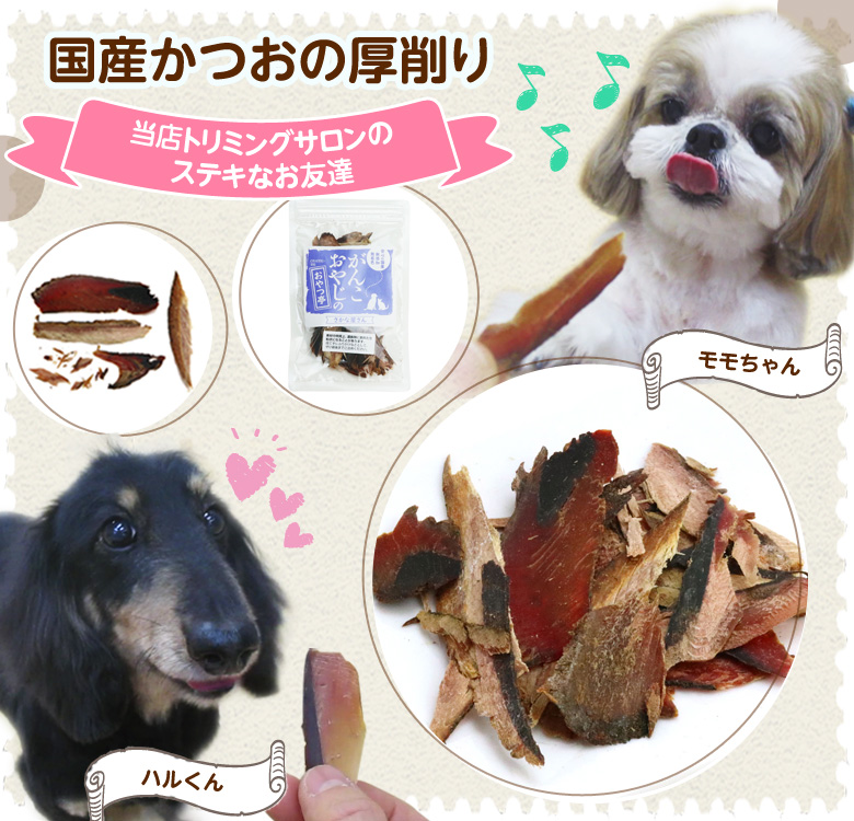 犬 猫 おやつ 無添加 国産 がんこおやじのおやつ亭 国産かつおの厚削り 40ｇ｜dogparadise｜04