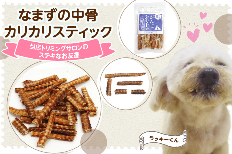 犬 猫 おやつ 無添加 国産 がんこおやじのおやつ亭 なまず中骨カリカリスティック 40g×2袋セット 追跡可能メール便のみ送料無料（同梱不可）デンタルケア｜dogparadise｜04