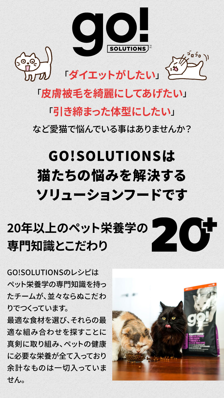 GO! ゴー キャット 皮膚+被毛ケア サーモン 500g×3袋＋国産鹿肉ジャーキー(お試しサイズ) 猫 ドライ グレインフリー 下部尿路 |  | 04