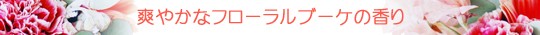 ナンビ　アミノ９９　リンスインシャンプー