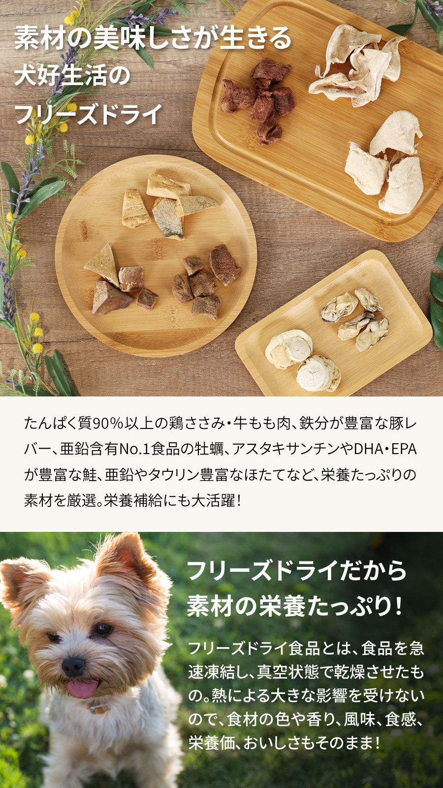 TOTY ※断捨離中様 リクエスト 4点 まとめ商品 断捨離中様 リクエスト 4点 まとめ商品 まとめ売り