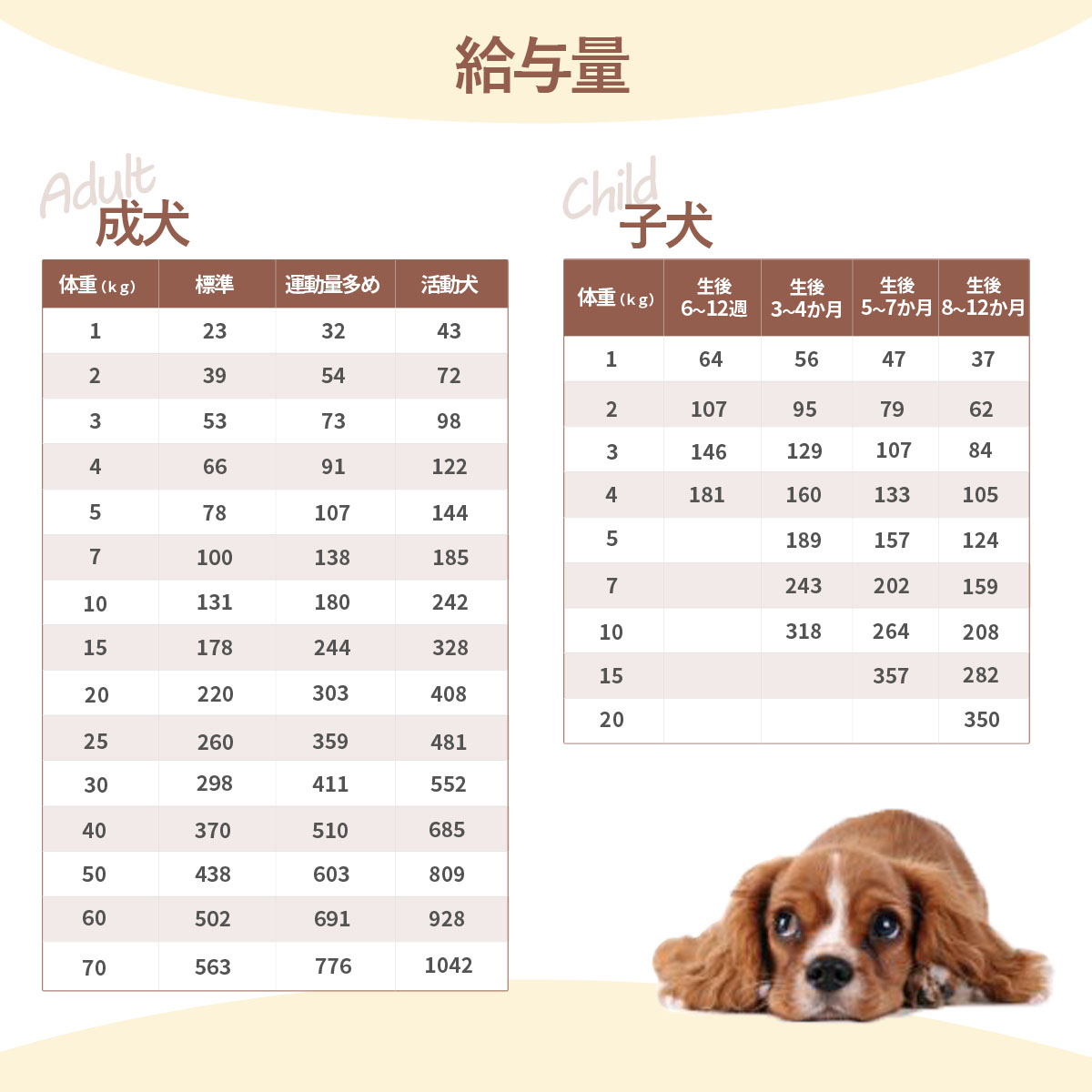 キアオラ カンガルー 4.5kg＋国産鹿ラング15g 犬 全犬種 全年齢｜dogparadise｜06