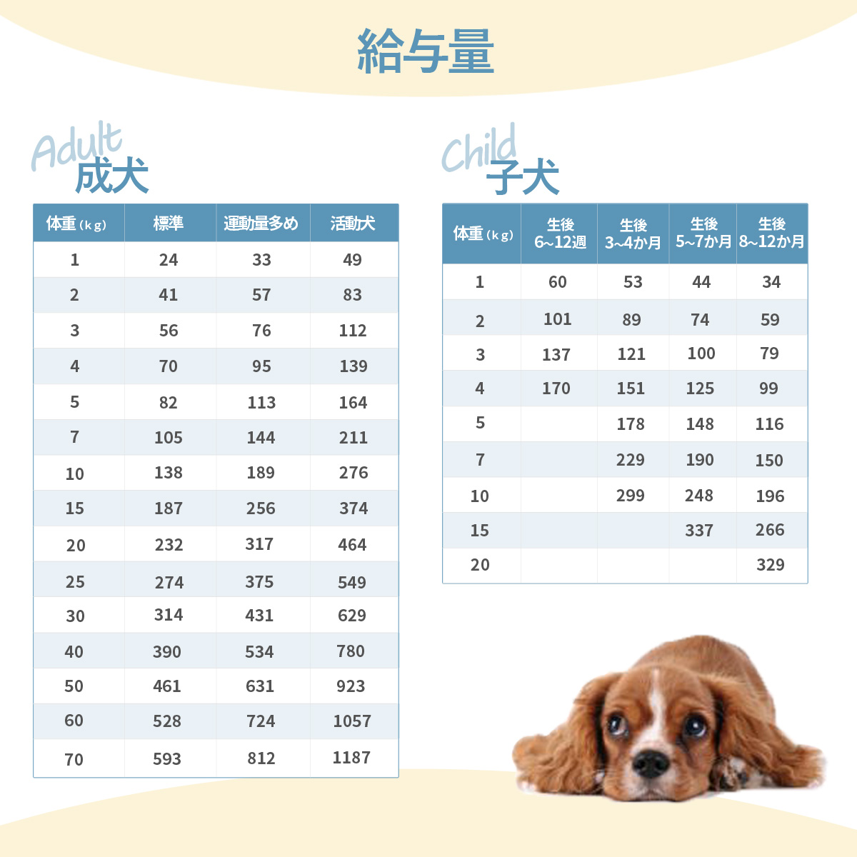 キアオラ (KiaOra) ドッグフード ラム&サーモン 5kg+国産鹿レッグボーン 1本Mサイズ   犬 全犬種 全年齢｜dogparadise｜09