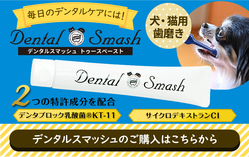 ルージュ♡⸝꙳　犬のおやつ ドッグフード/おやつ｜あにまるキャンパスオンラインストア