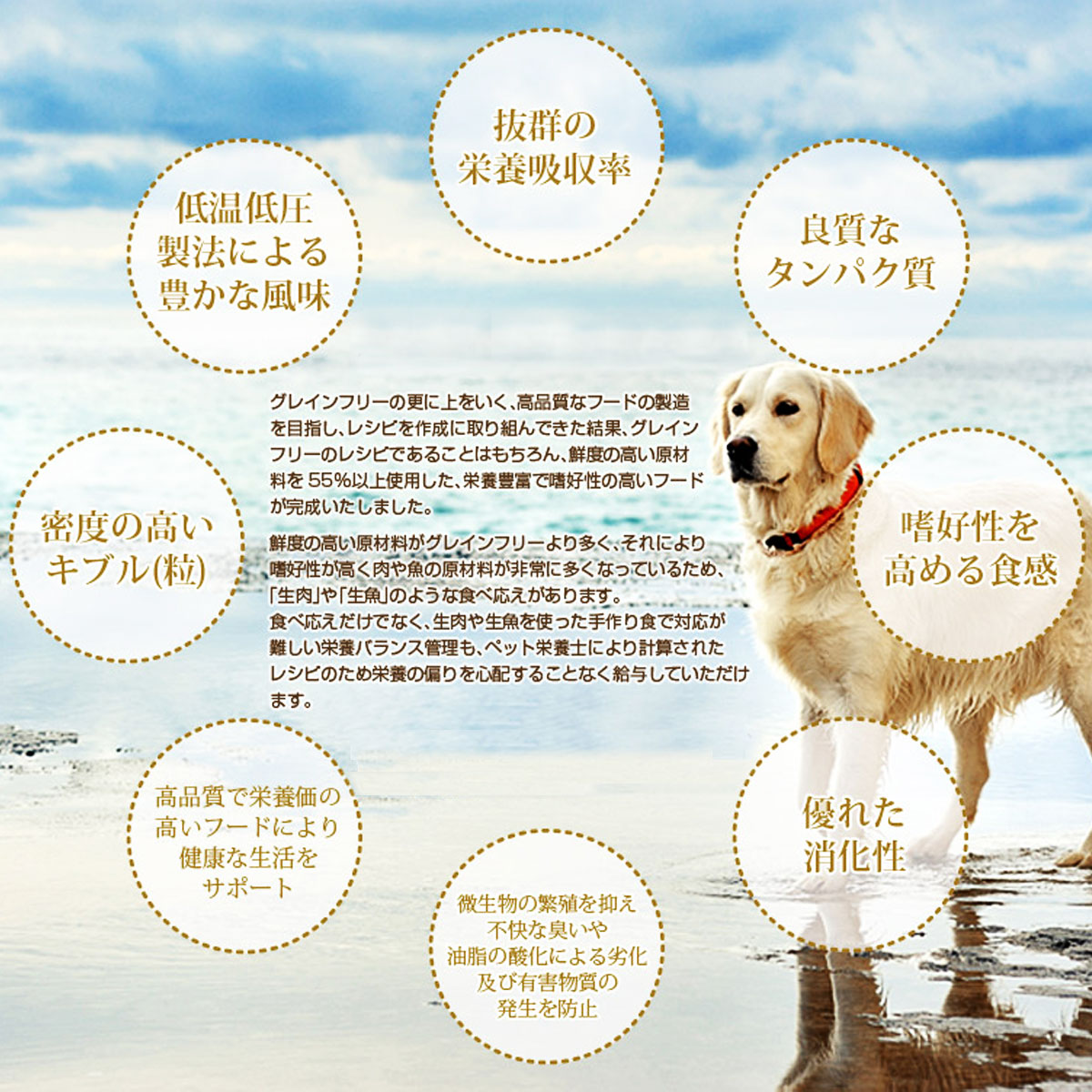 【メーカー出荷賞味期限2026年8月16日】ロットプレミア チキン＆アガリクス 成犬用 小粒 4kg ＋お試し国産お魚厚削り 15g 犬 ドッグフードの画像