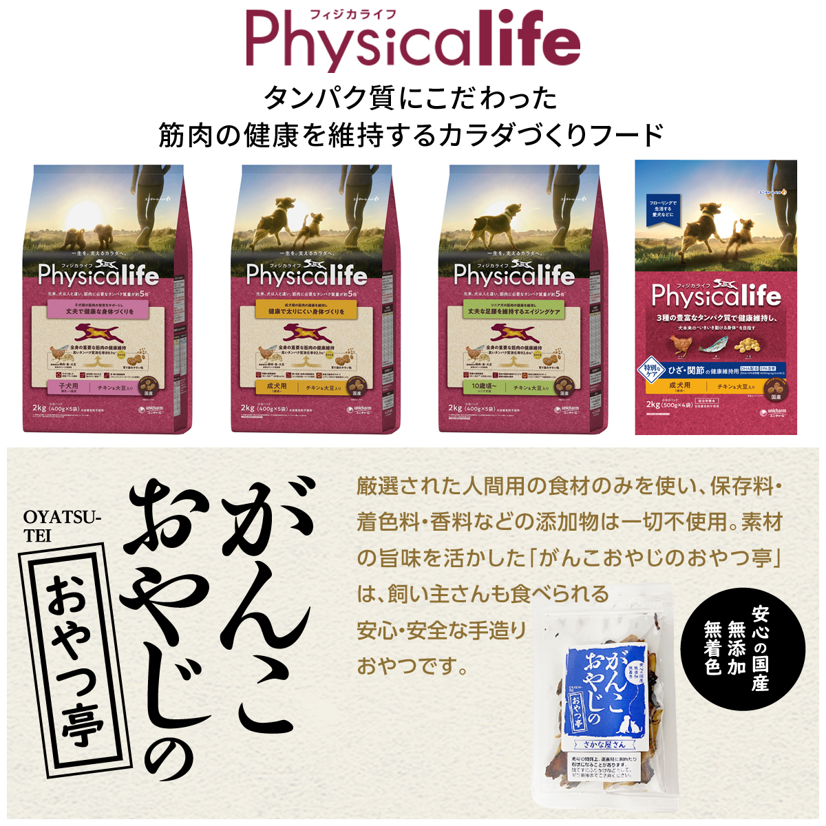 フィジカライフ (Physicalife) シニア犬用 チキン＆大豆入り 2kg ＋お試し国産お魚厚削り 15g｜dogparadise｜02