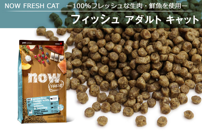 選べるプレゼント付き) ナウフレッシュ グレインフリー フィッシュアダルトキャット7.25kg  :0815260007511:ドッグパラダイスぷらすニャン別館 通販 