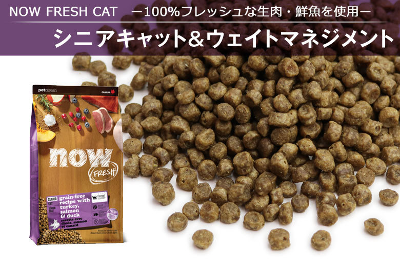 NOW FRESH (選べるプレゼント付き)ナウ フレッシュ シニアキャット