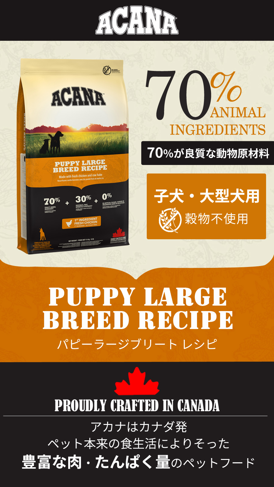 ACANA（アカナ） パピー ラージブリードレシピ11.4kg : ドッグ