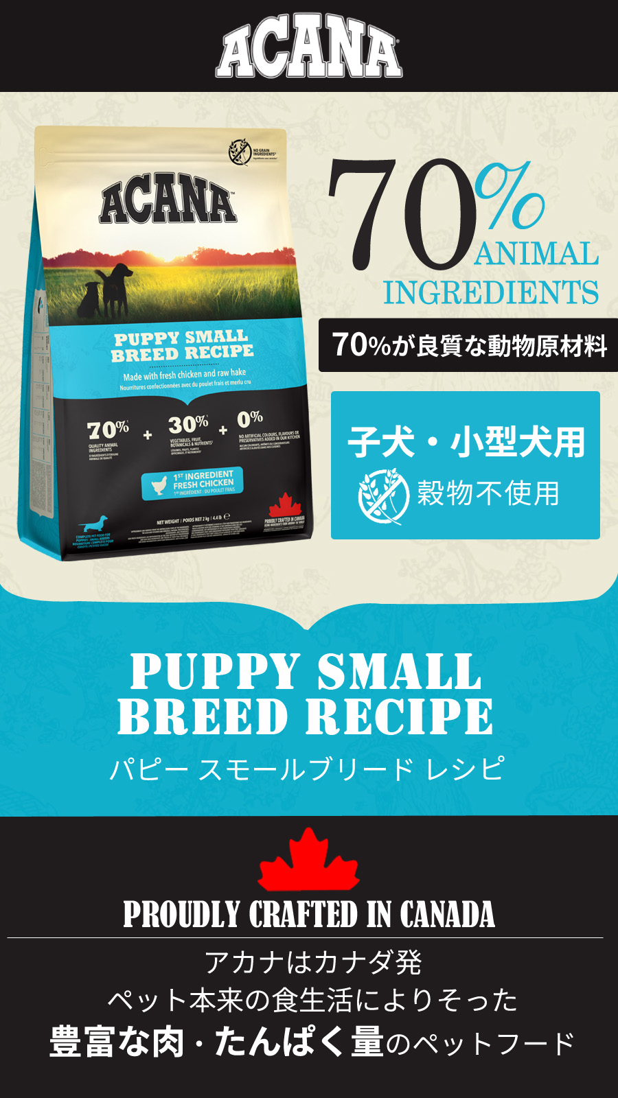 ACANA（アカナ） パピー スモールブリードレシピ6kg 爆買 : ドッグ