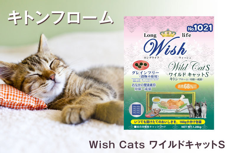 希望者のみラッピング無料】 未開封 ウィッシュ子猫成猫ワイルド