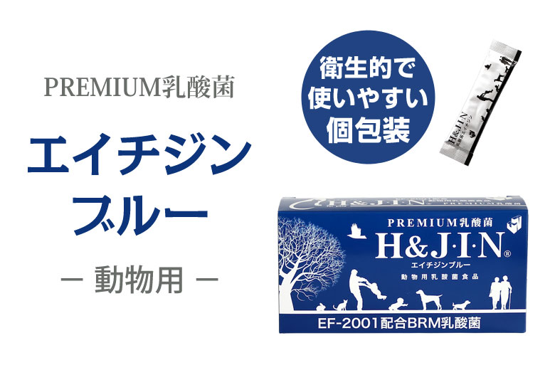選べるプレゼント付き) Premium乳酸菌H&JIN 動物用 90包 乳酸菌 ペット 