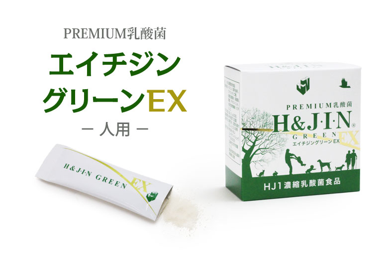 選べるプレゼント付き)Premium乳酸菌H&JIN グリーンEX 人用 30包 乳酸菌 サプリ エイチジン 人間用 高品質乳酸菌 :  4589961810508 : ドッグパラダイスぷらすニャン - 通販 - Yahoo!ショッピング