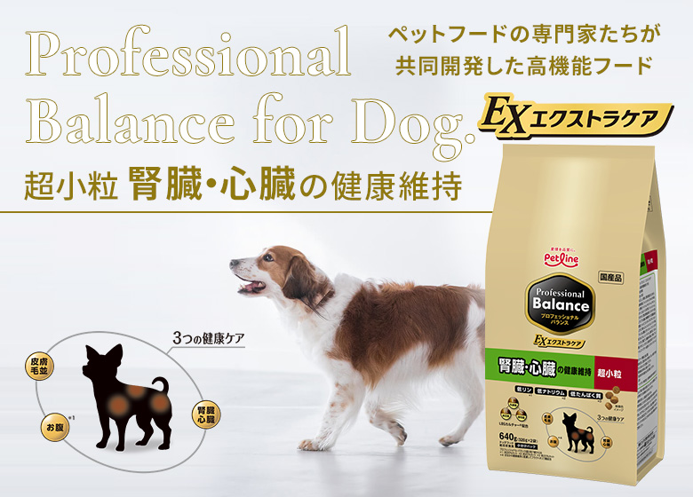 プロフェッショナル・バランス プロフェッショナルバランス エクストラ