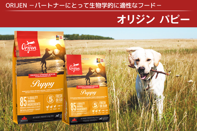 選べるプレゼント付き)オリジン パピー 2kg : ドッグパラダイス