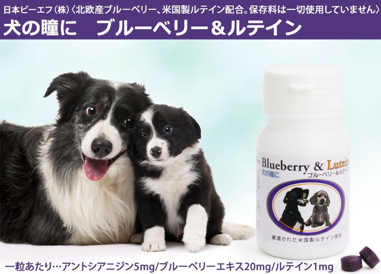 日本ビーエフ ブルーベリー＆ルテイン