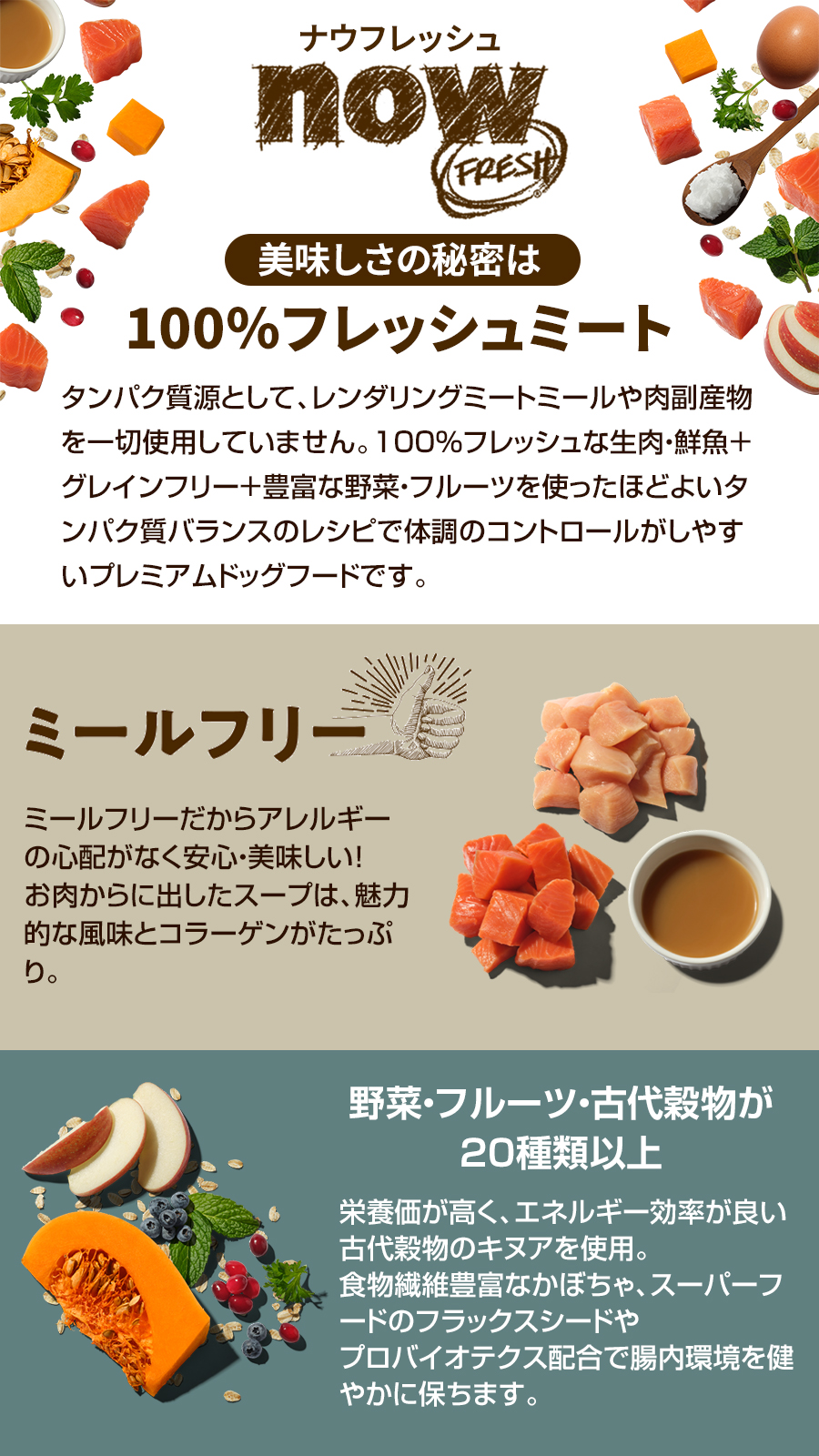 NOW FRESH (選べるプレゼント付き)ナウフレッシュ グッドグレービー