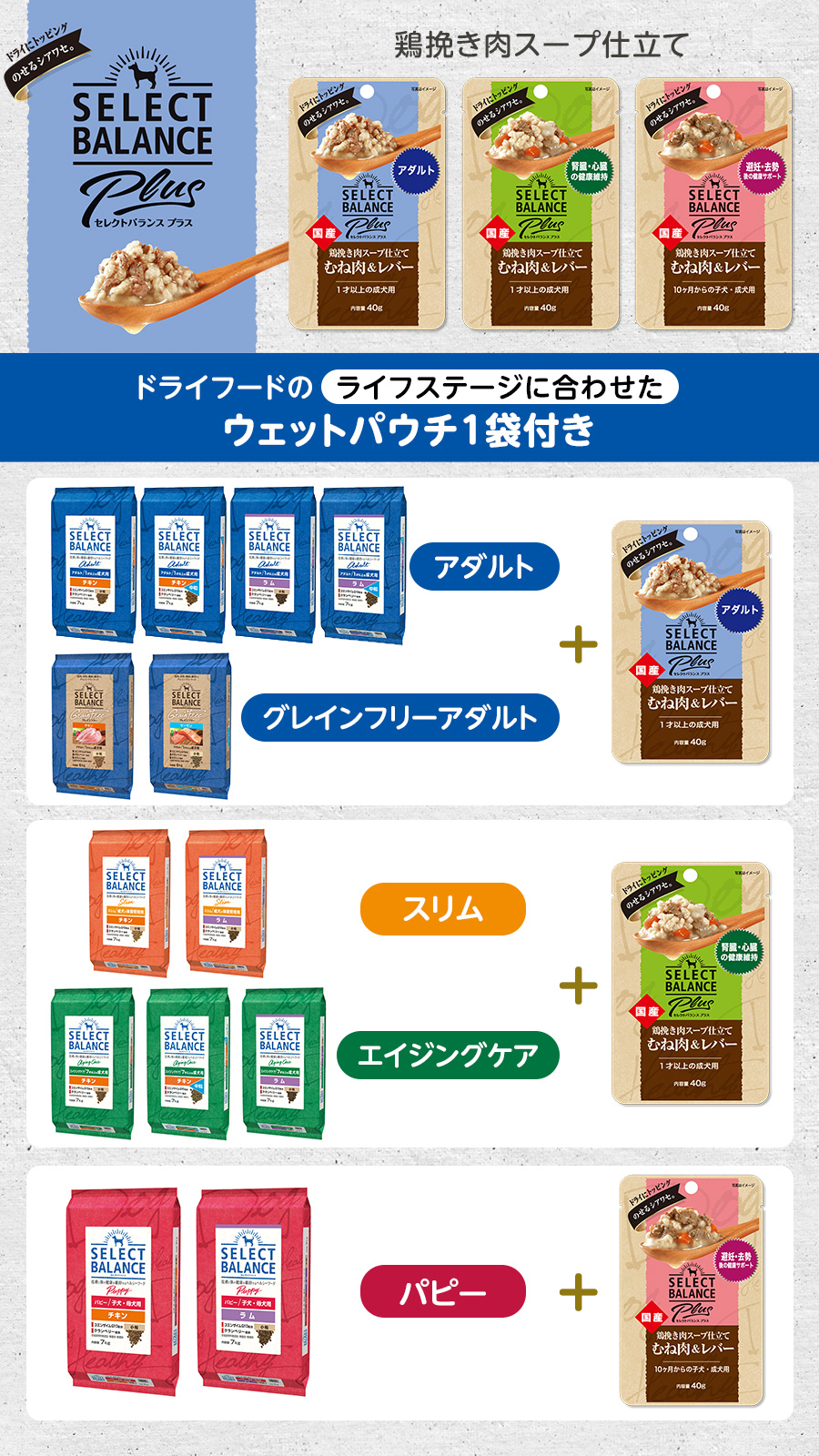 セレクトバランス グレインフリー アダルト サーモン 小粒 6kg+セレクトバランス パウチ アダルト 1才以上の成犬用40gの画像
