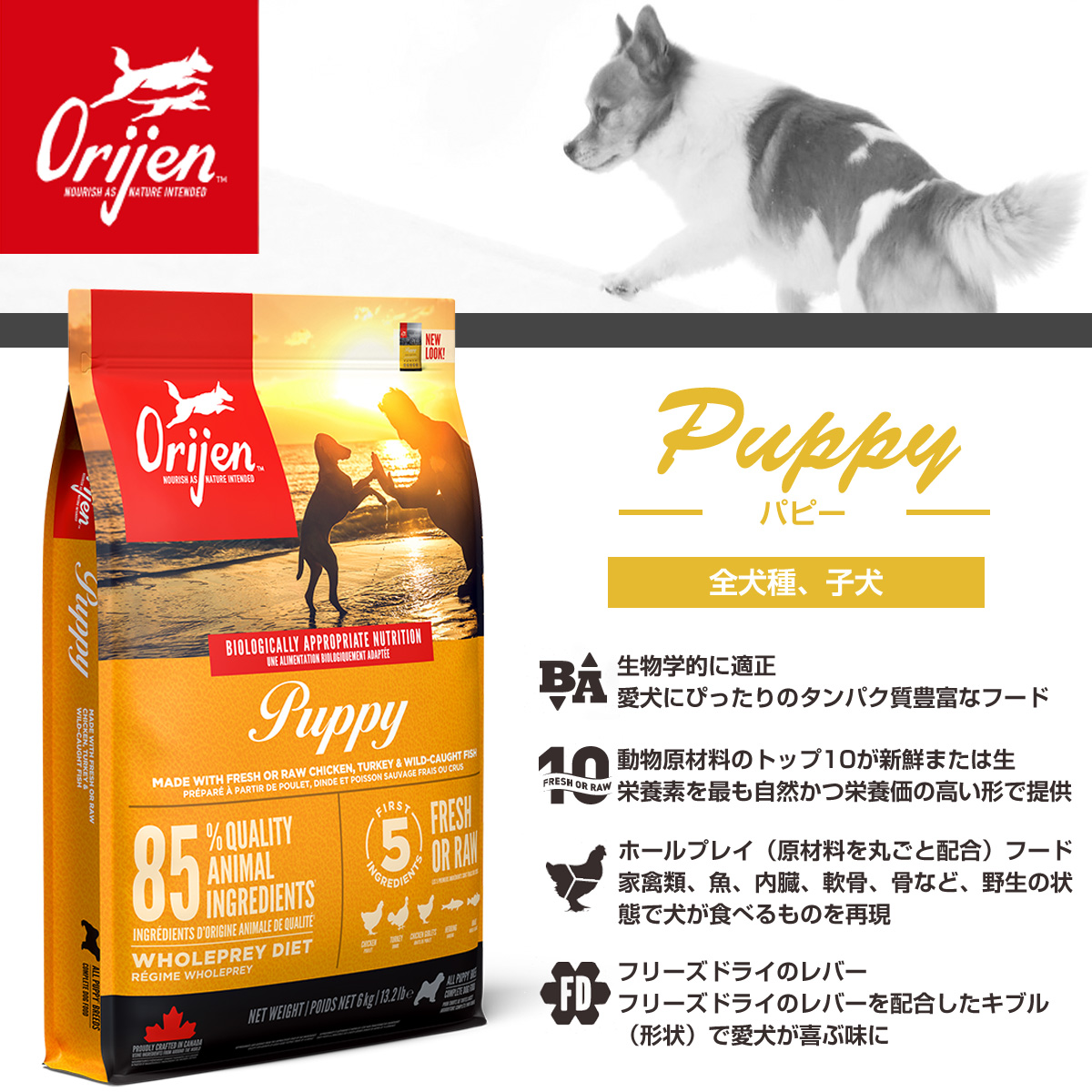 オリジン パピー 2kg＋国産鹿ラング15g｜dogparadise｜03