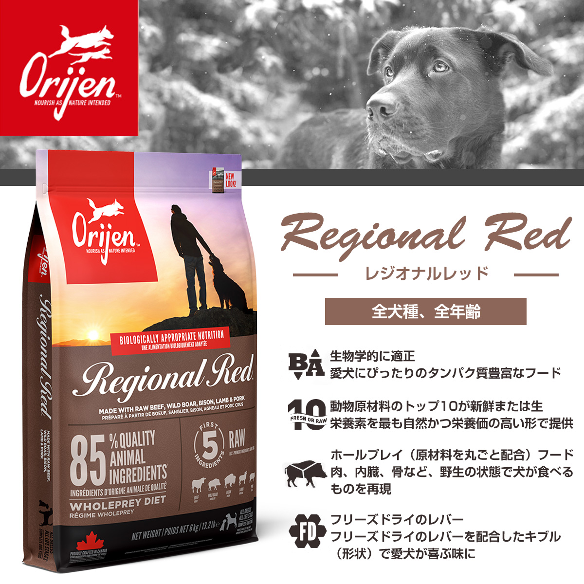 オリジン レジオナル レッドドッグ 2kg＋国産鹿ラング15g｜dogparadise｜03