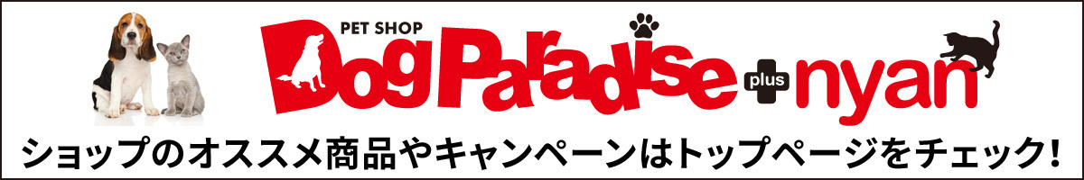 選べるプレゼント付き) ソルビダグレインフリー チキン 室内飼育体重