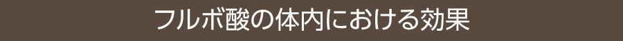 フルボ酸の体内における効果